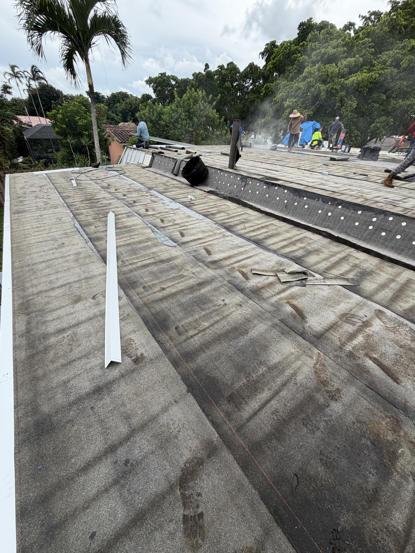Crew on a flat roof during cap sheet install with palm trees